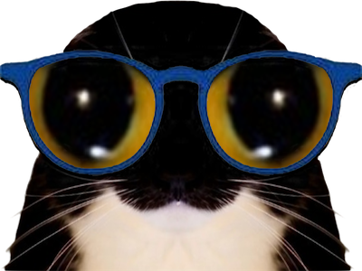 CharlesFinas's tweet photo. @RailgunIntern You cannot fathom my love of cats... It's too complex for the human brain, even for I https://t.co/U23TRJxSyP