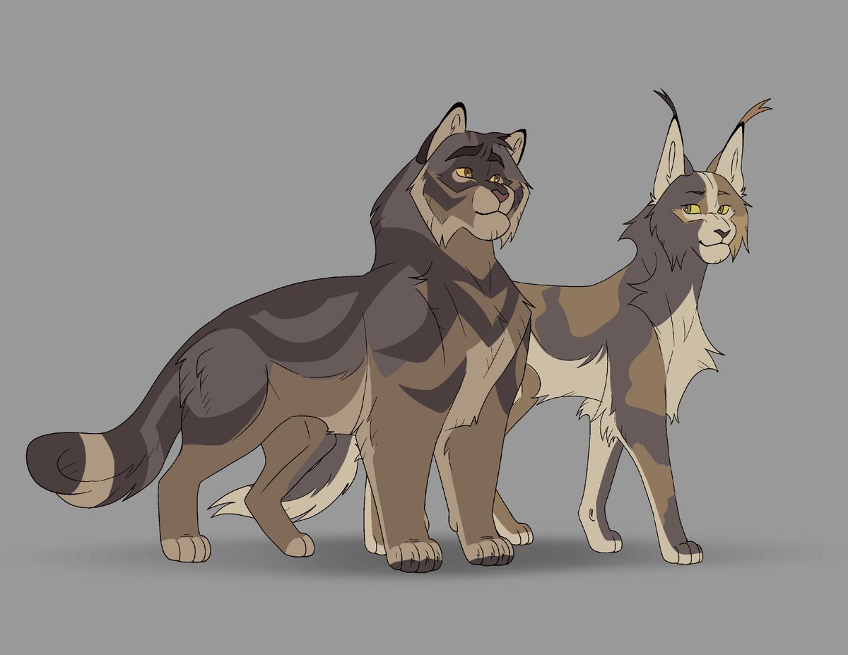 KRIS 🌙✨ tweet media