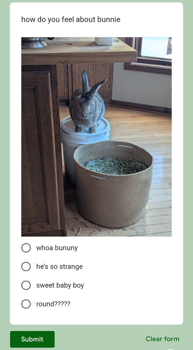 💙⭐ Eldritch Violet 🚫🧊 tweet media