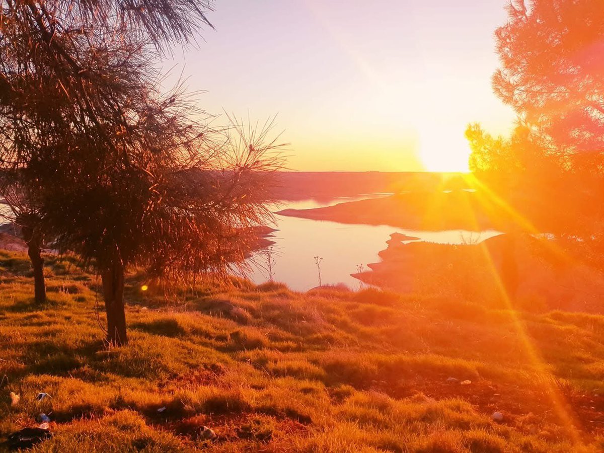 Abdurrahman Yargucı tweet media