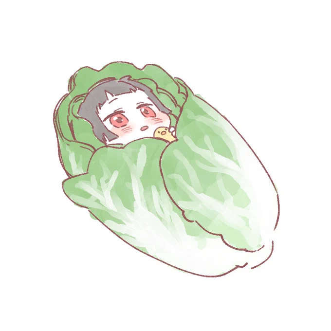 ちびひでin白菜のおくるみ