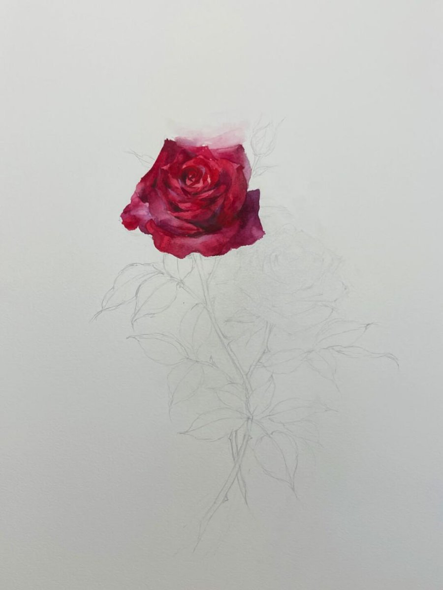 dostifr_s's tweet photo. Realistic Watercolor Painting of Romantic Roses https://t.co/NH22puoh7U
