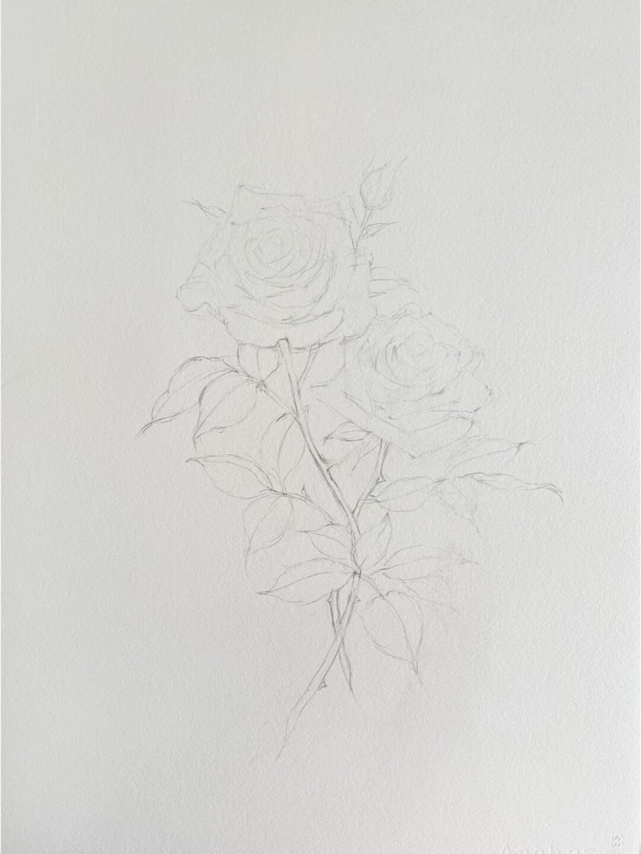 dostifr_s's tweet photo. Realistic Watercolor Painting of Romantic Roses https://t.co/NH22puoh7U