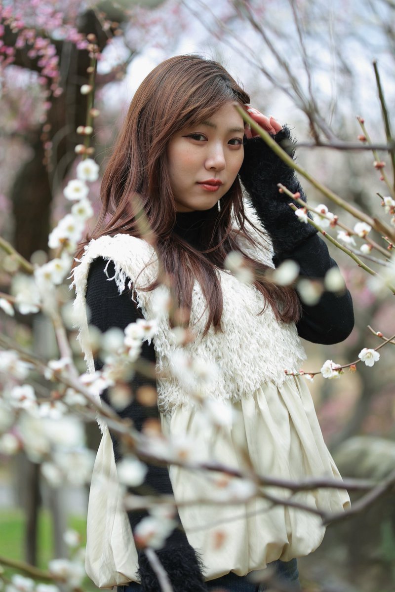 ななサクのさくらの方 (@s327akura) / Posts / X