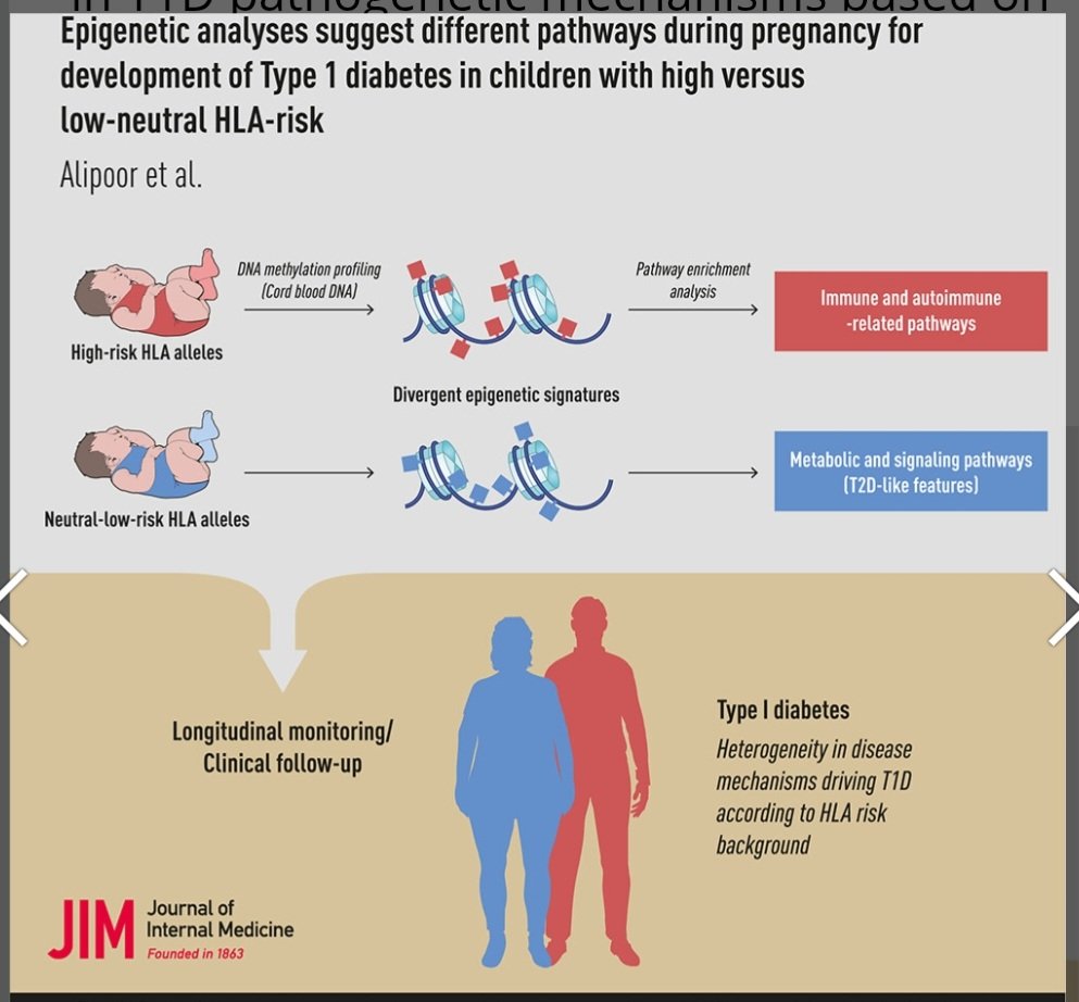Sáfárné Hatrágyi Henrietta tweet media