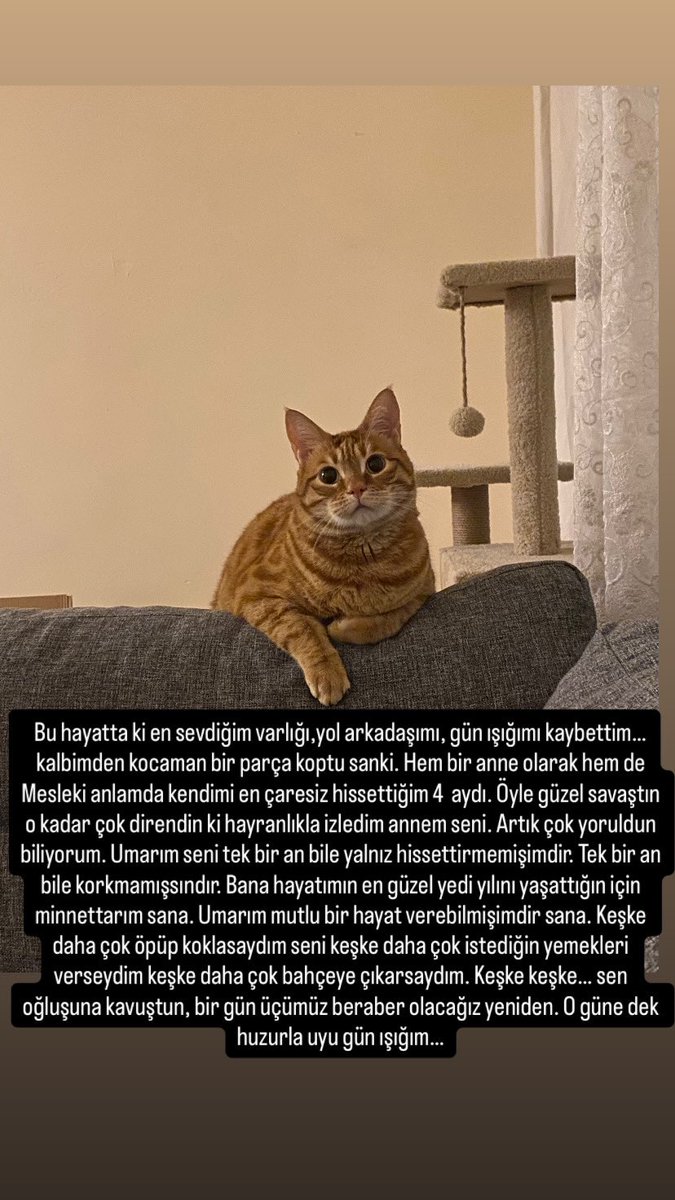 whiisspeer's tweet photo. Gün ışığım…karanlıkta bıraktın beni.. https://t.co/HeaEY38QEI