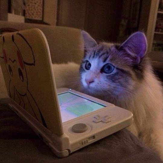 Grande (@sixrande) on Twitter photo 