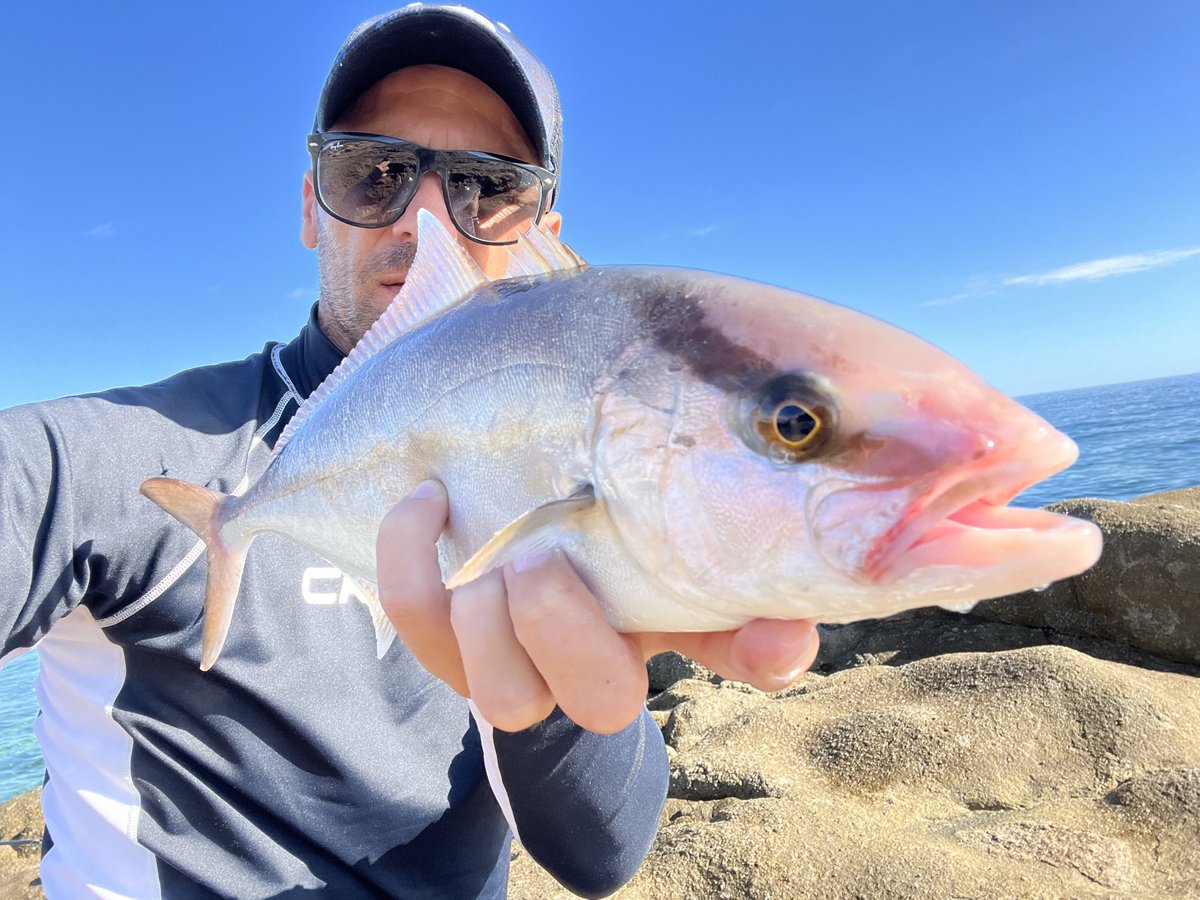 AdrianTomos's tweet photo. #fishing #saltwater #amberjack #megabass #corsica #foryou #fishingartplanetworth https://t.co/PHuGwV6B8X