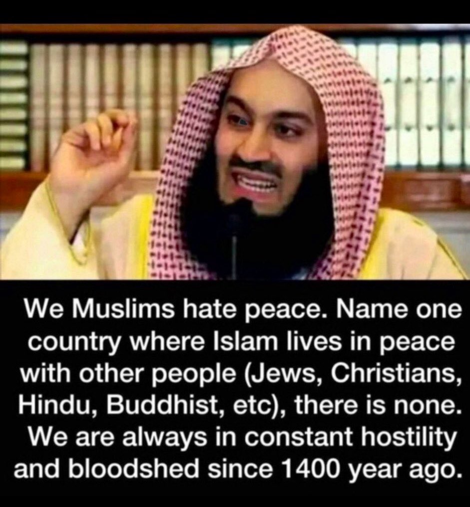 DaughterVikings's tweet photo. What is called Islamophobia is just a rational warning system, as there’s so much in Islam that has no place in the West. It’s a rational fear based on centuries of history where Muslims keep repeating the same violent & hateful acts that aren’t aligned with Western values.

We should stay wary of Muslims & their shenanigans, as their intentions are not good.