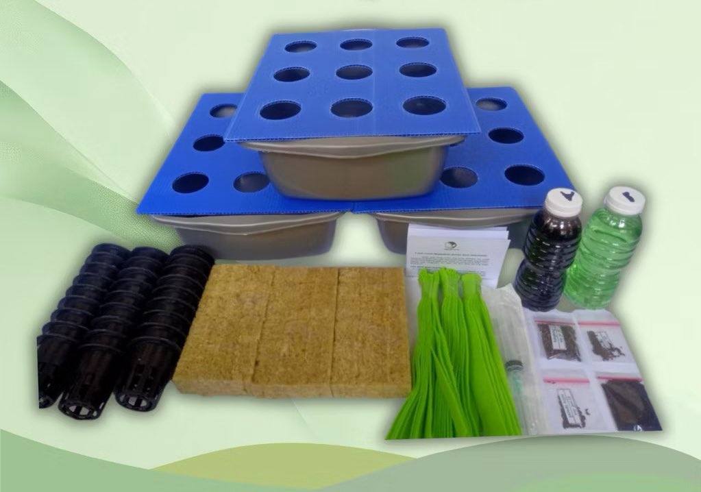 Ketika sayuran di pasar makin mahal, kalian harus bisa nanem sendiri dirumah. 

Gua mau giveaway 1 paket hidroponik mini ini biar kalian bisa nanem dirumah. 

Syaratnya tinggal like, ritweet dan rep aja sayur kesukaan kalian. Batasnya besok jam 17:00 pengumumannya besok juga jam