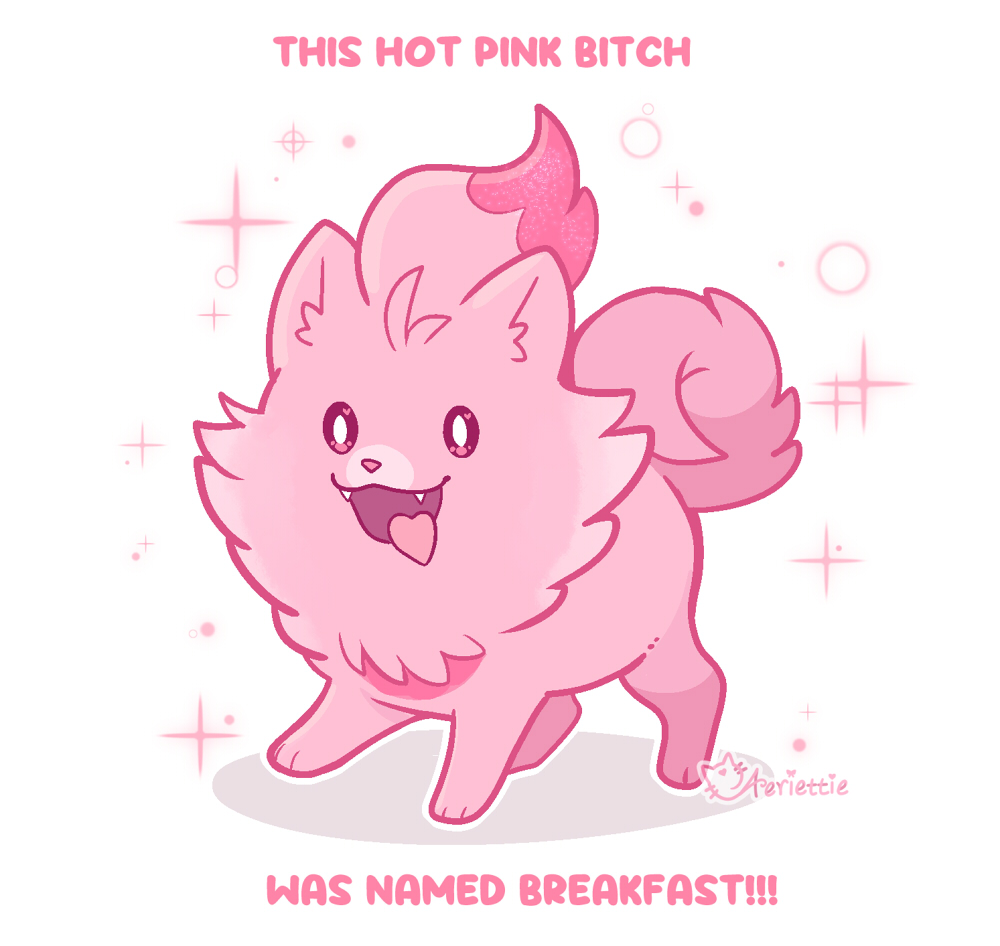 aeriettie's tweet photo. this hot pink pombon was named breakfast!!! https://t.co/p3teWImzqU