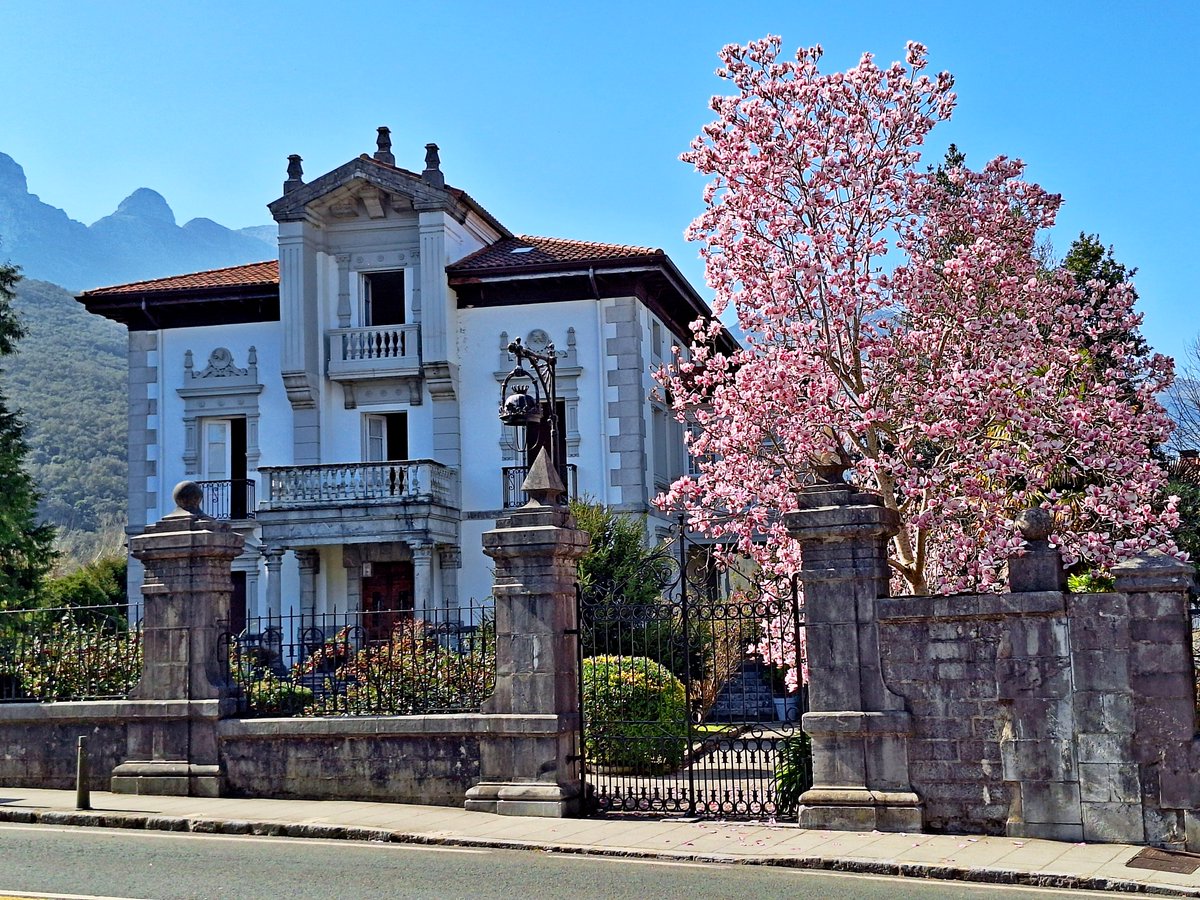 German Tabuyo tweet media