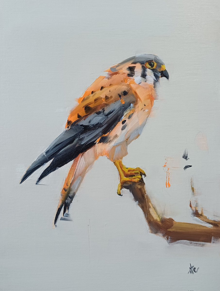 Quite challenging this little fella if made in alla prima technique. 
But I'm quite happy with the result.
Let me know what you think ⤵️😍

✅️ Find my Available Exclusive Paintings on my personal website ➡️ Link in BIO 

#oilpainting #artoninstagram #painting #birdart #birds