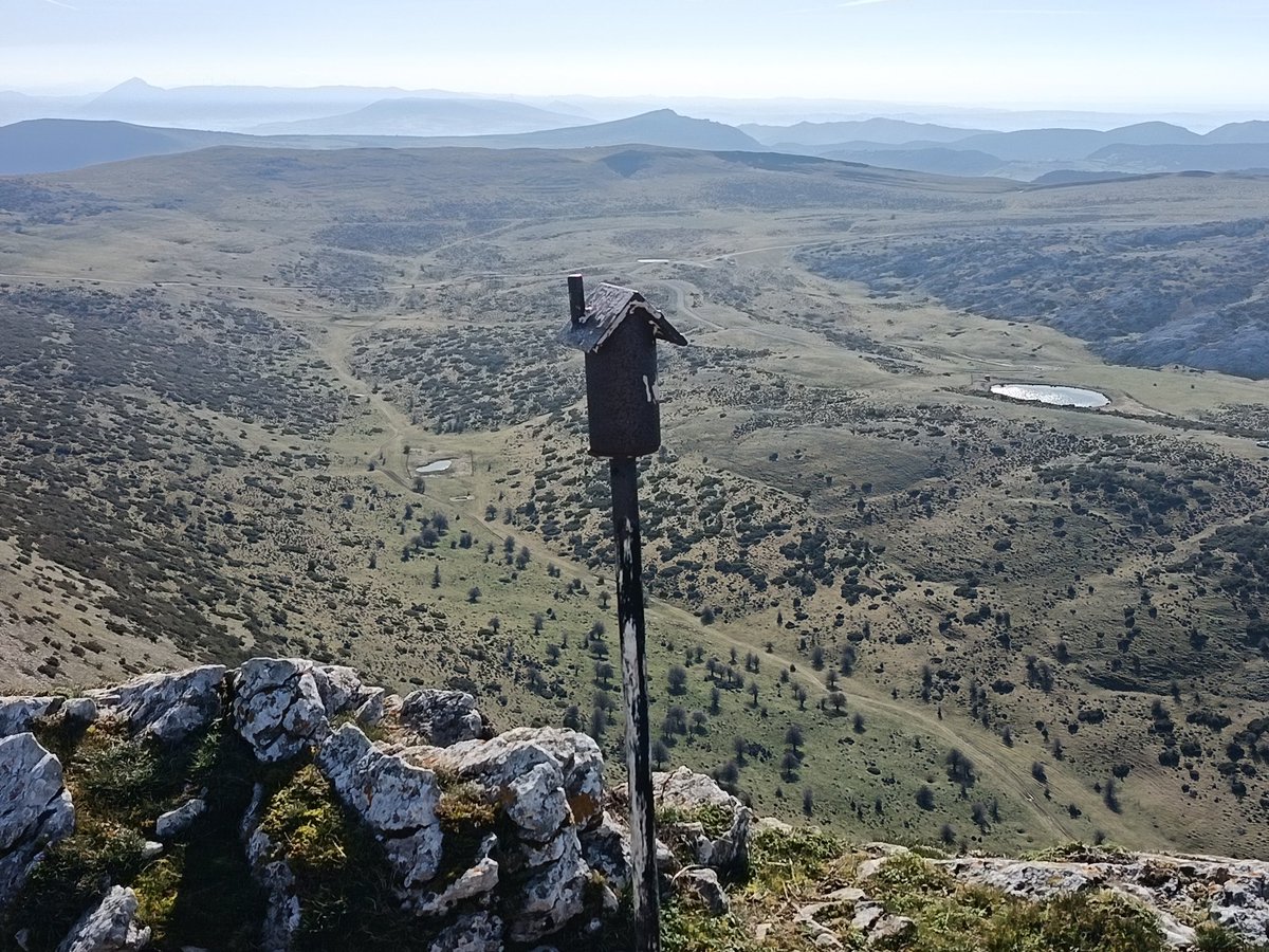 josu unzurrunzaga tweet media