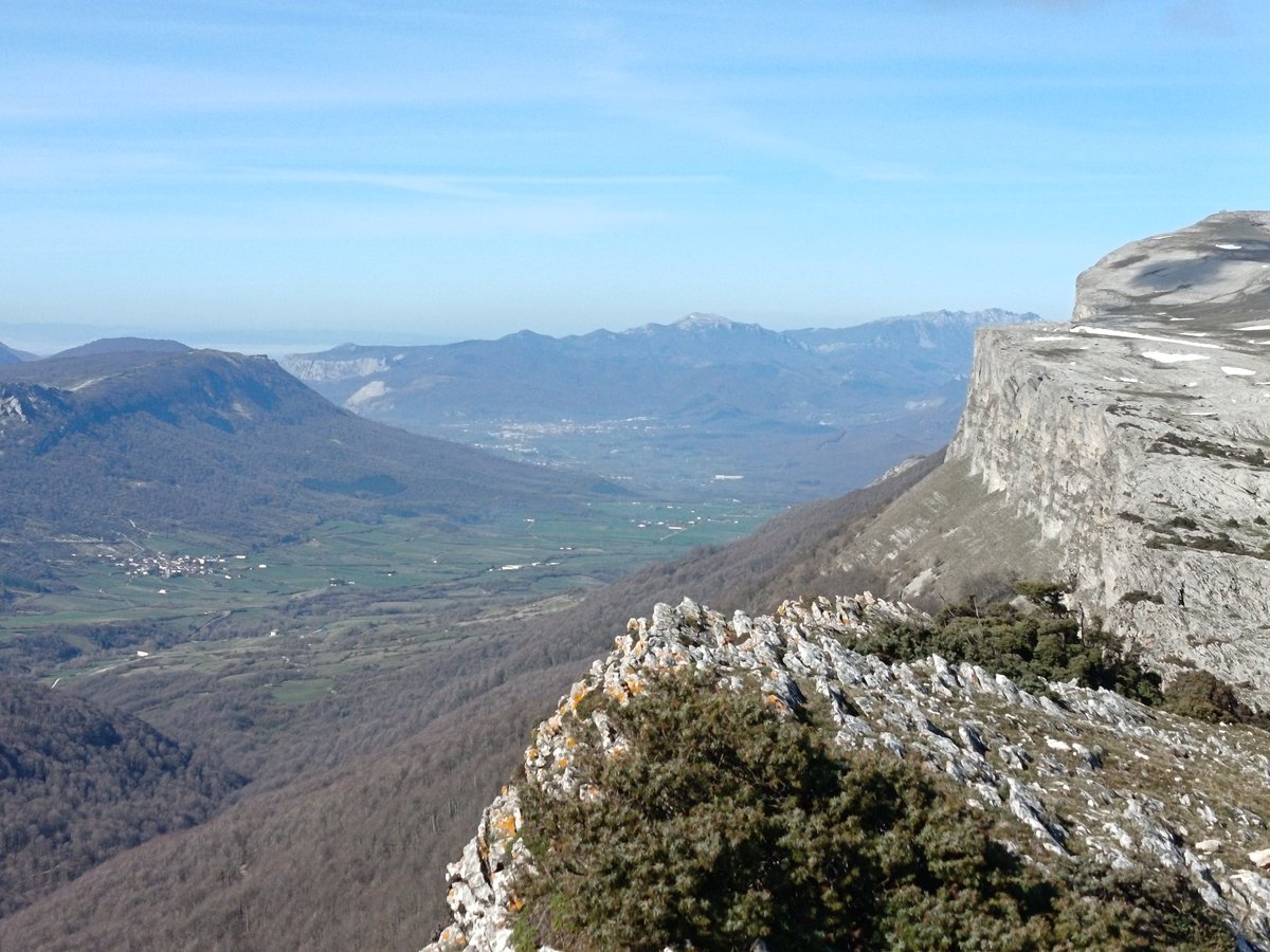 josu unzurrunzaga tweet media