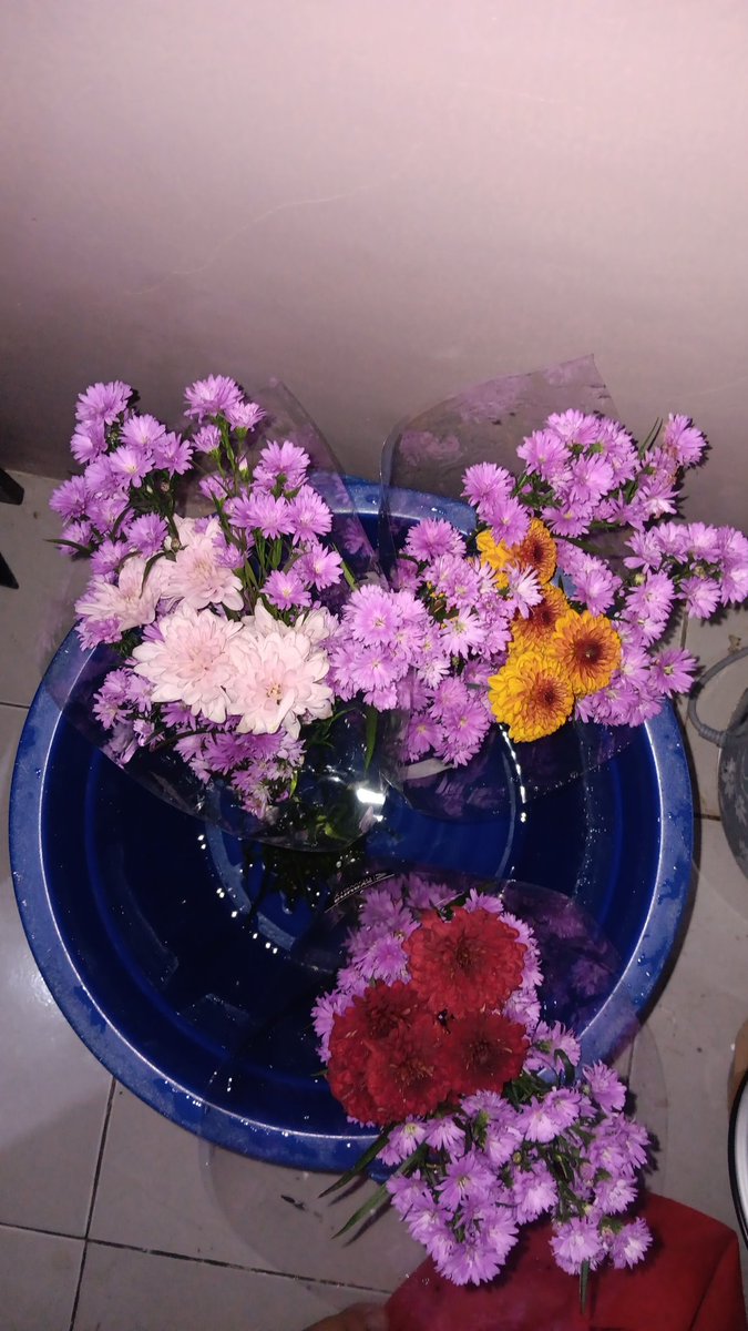 adadehxixixi tweet media