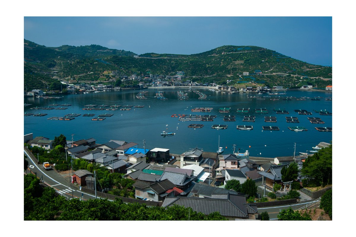 愛媛県八幡浜市川上町、白石〜上泊の風景①
湾内に並ぶ養殖の筏が圧巻の景色である。
