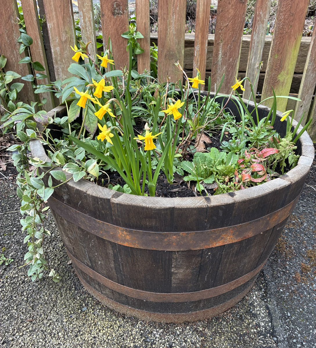 FoRoseHillStation tweet media