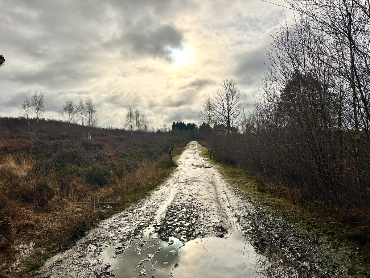 Mick Fitzgerald tweet media