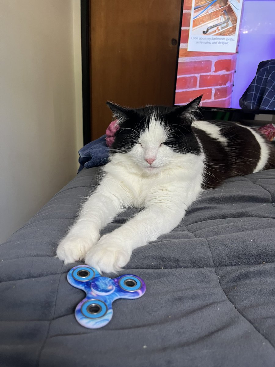littlebugcat's tweet photo. i spent 12 hours on youtube researching fidget spinner tricks https://t.co/zDvOuJz8nU