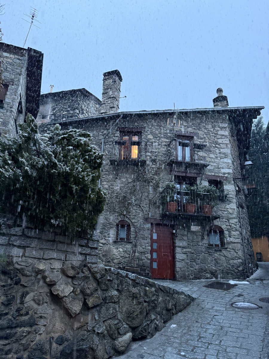 Nika🪽 tweet media