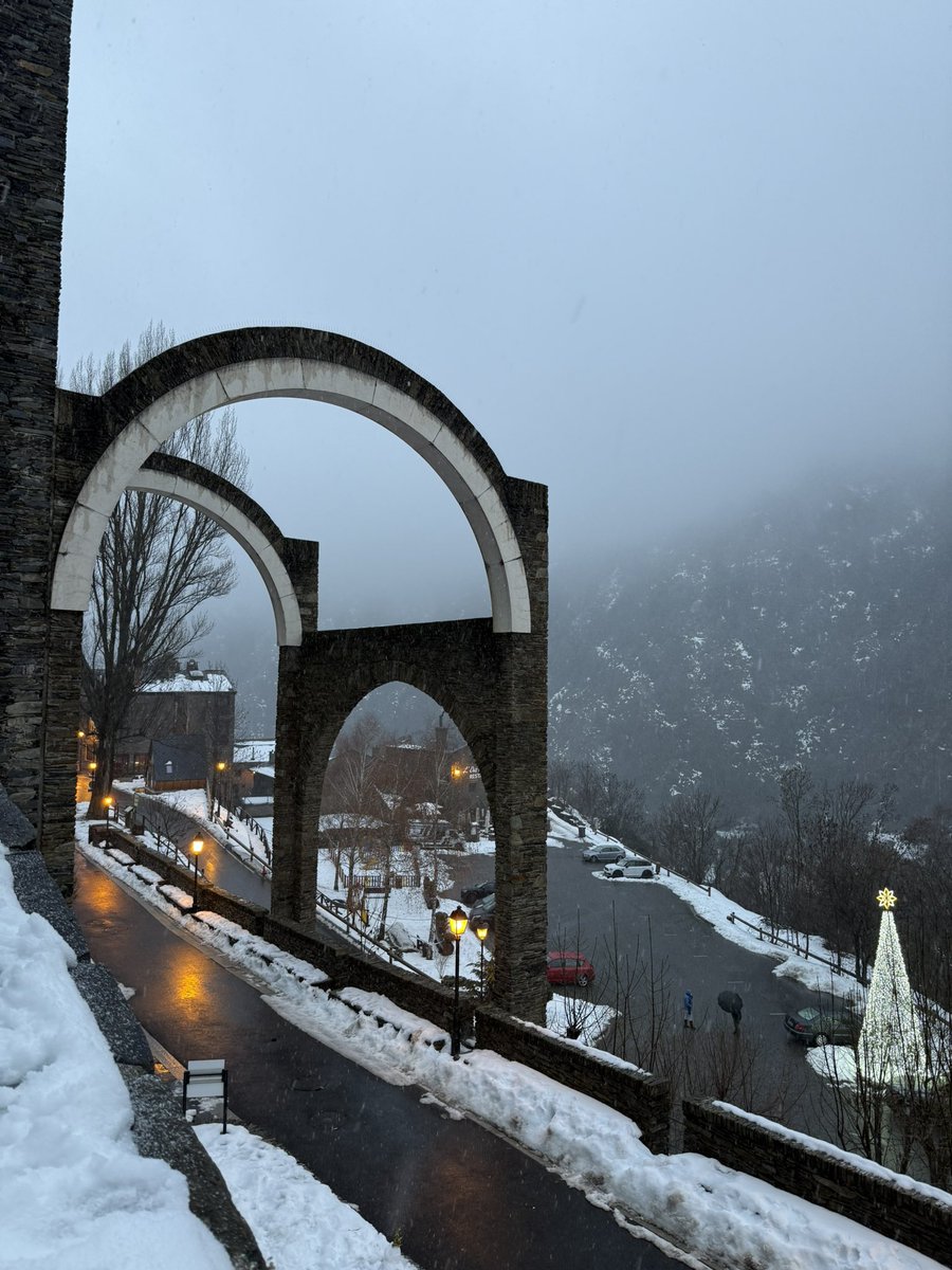 Nika🪽 tweet media