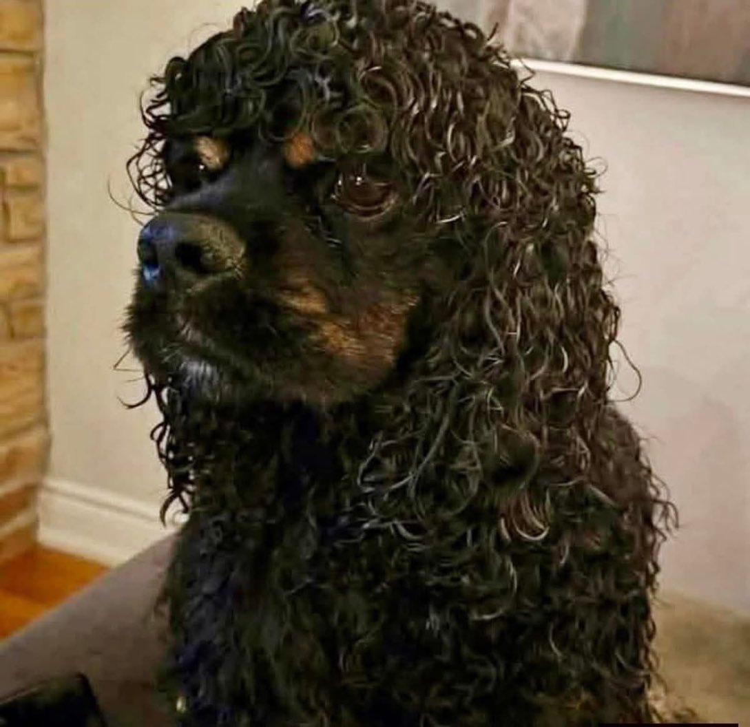 Lovea2ndbaseman's tweet image. I thought Rick James died.