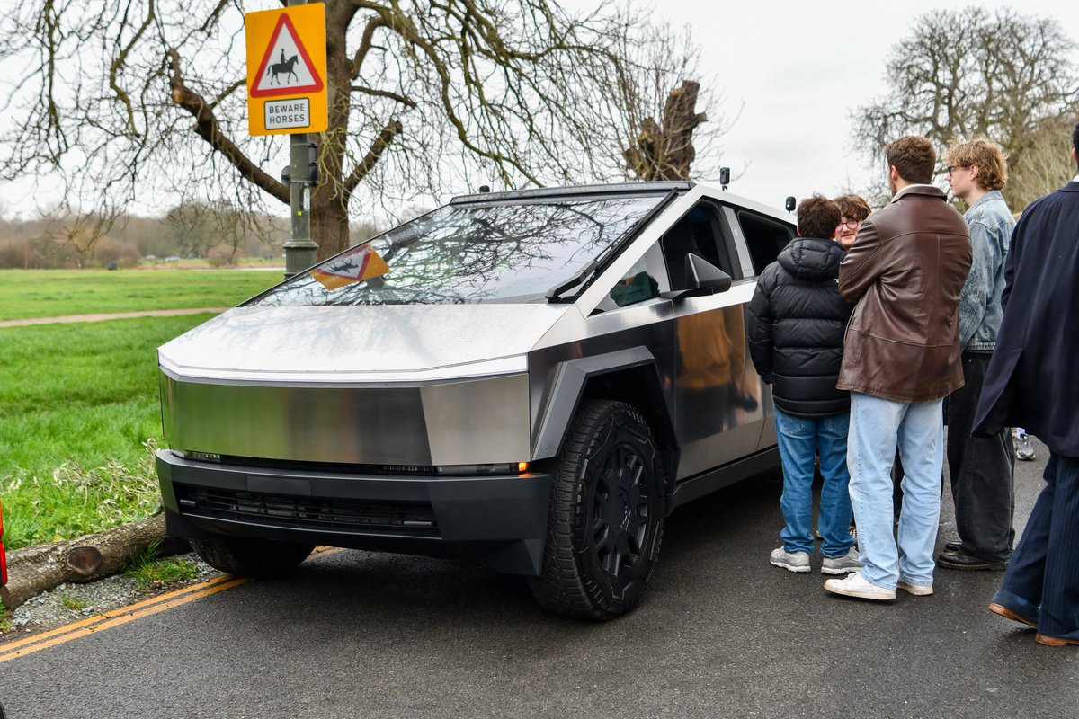 𝔻𝕒𝕟𝕚𝕖𝕝 𝔹𝕖𝕧𝕚𝕤 tweet media