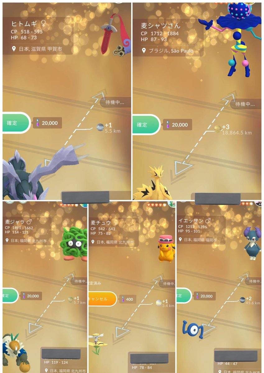 👚麦シャツ👚 tweet media