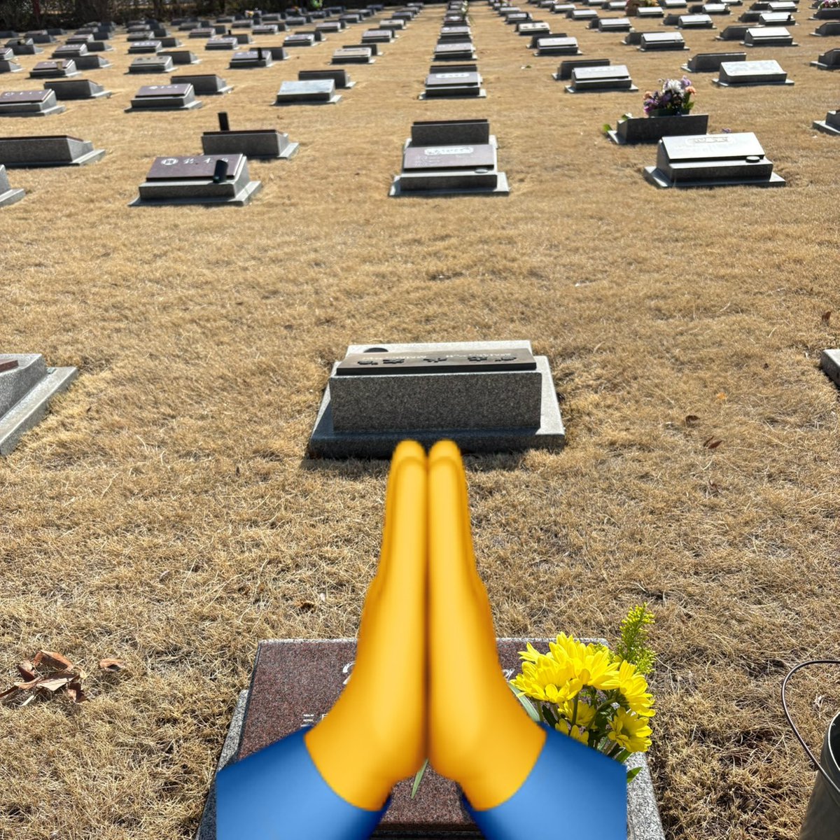 DreamWorkerDiv's tweet photo. 生きていれば20代の長女の命日🙏
生きているのでは無く、生かされている私🥹人々を幸せにする生き方をせねばと強く想う・・ https://t.co/mqIDCJ20cM