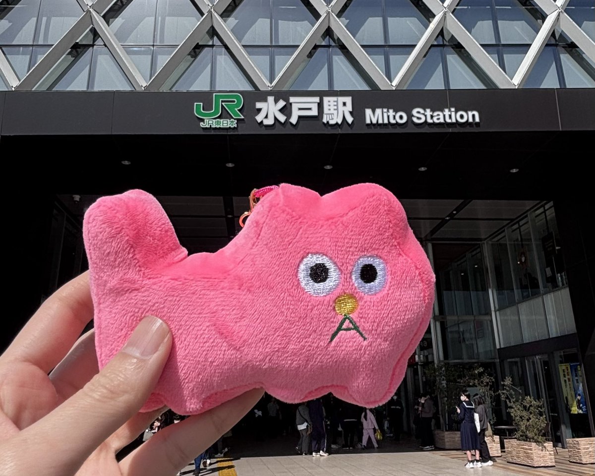 ピンクの猫の小林さんinfo (@pinkcat_info) / Posts / X