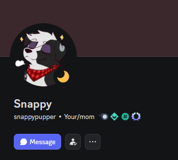 snappypupper's tweet photo. So recently, in an event of being too nice, I got my Discord completely hijacked, and my identity was stolen, and I'm currently unable to recover as of now. 

If you ever see a message from this account, don't engage; it's not me

Discord Support literally does nothing about this https://t.co/NtQQb4SaDr