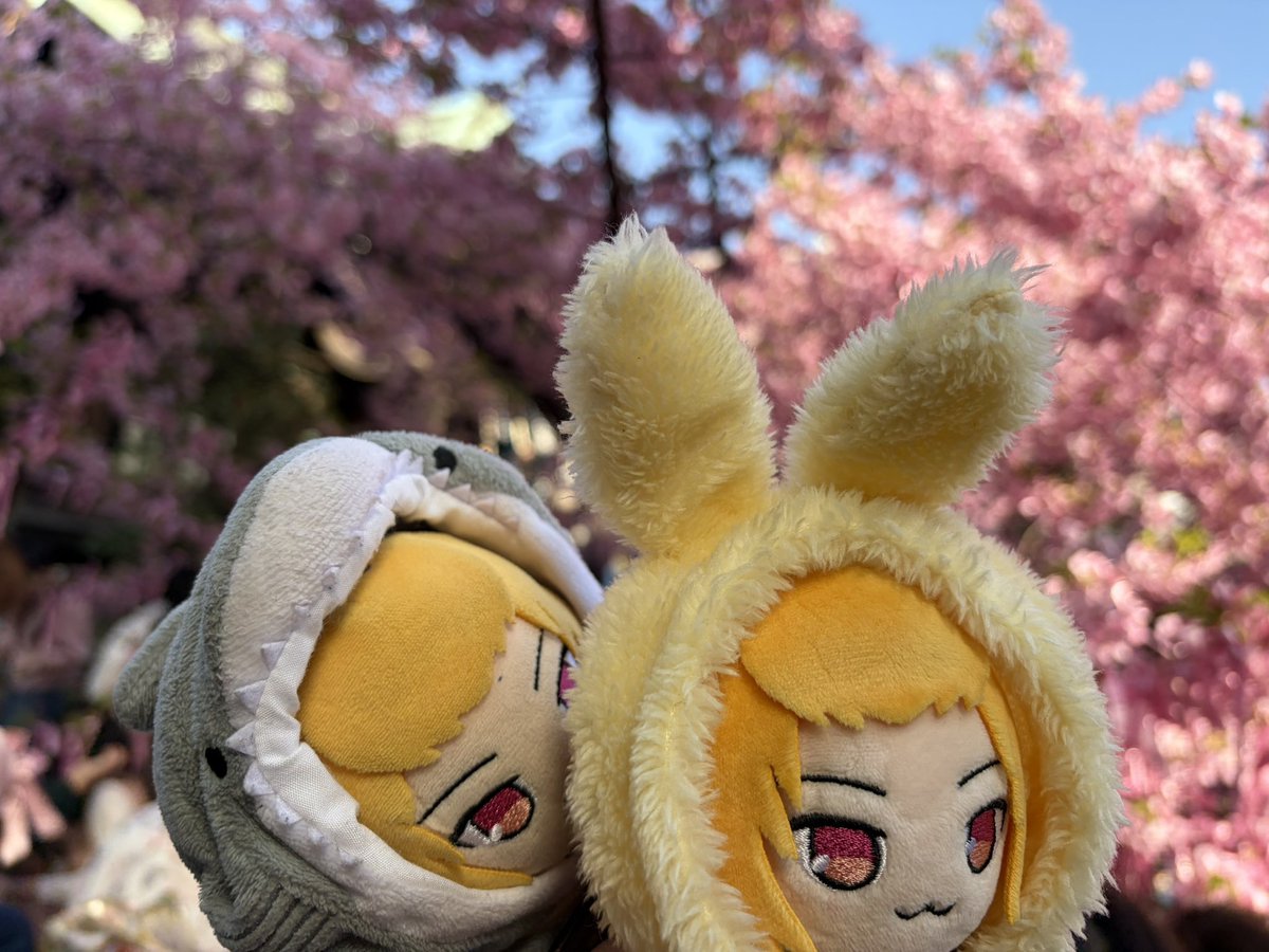 たくさん東京でお世話になりました；；
次から遠征組になりまっせぇぇぇ！
もちろん私が一方的にずっと見つけてるけどな！！！！！(*´艸`)