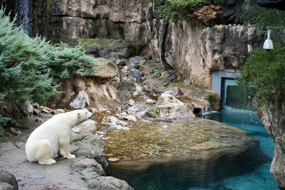 #TLをゴーゴでいっぱいにしよう
#ゴーゴ