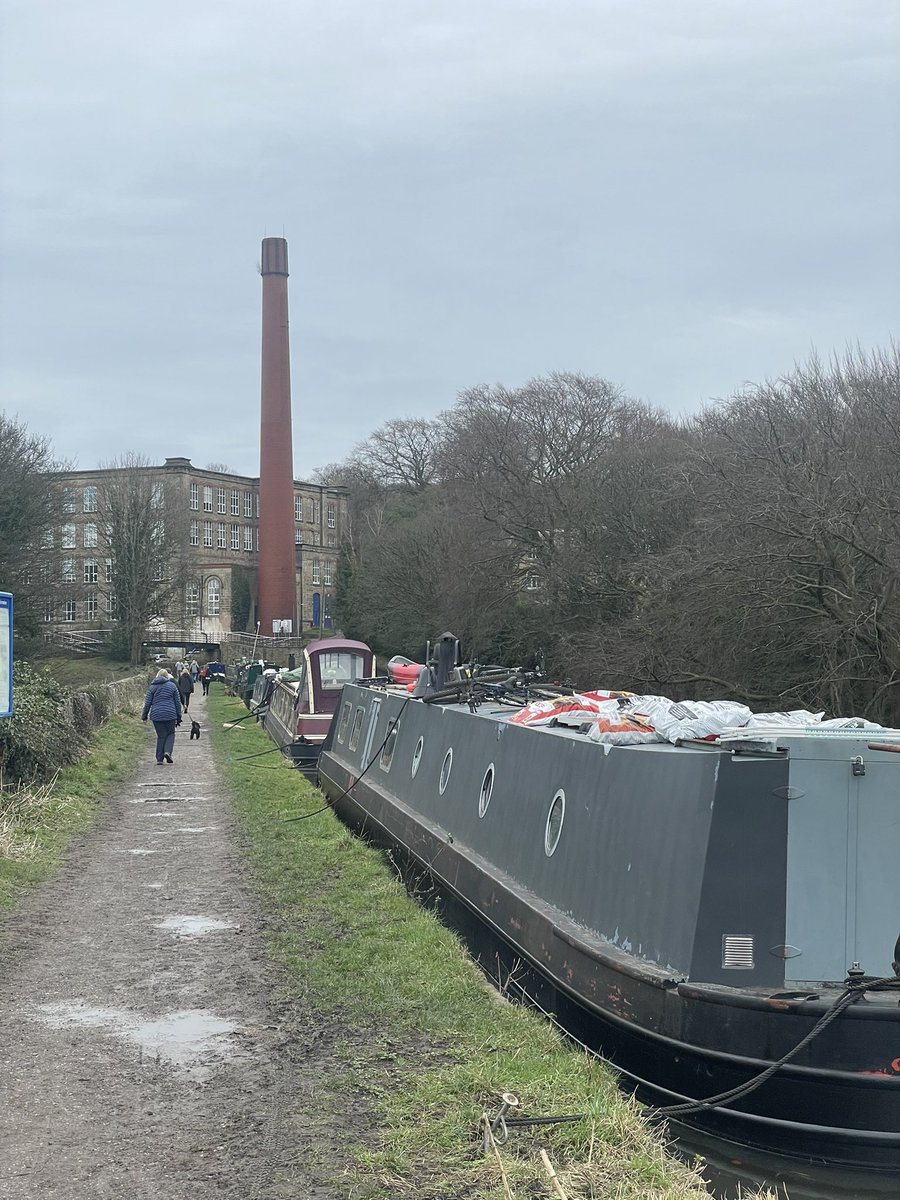 sheilaMol tweet media