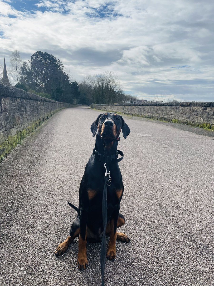 sheilaMol tweet media