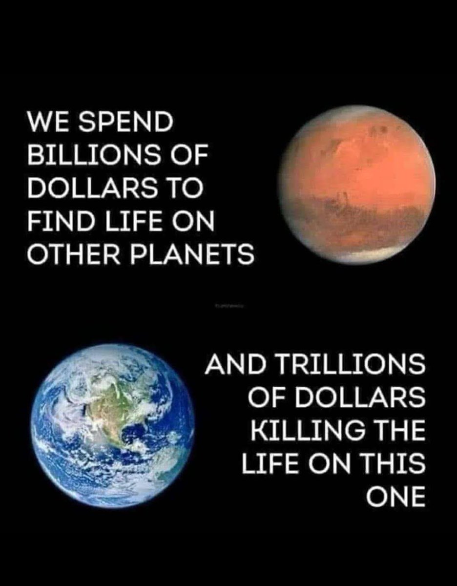 Geetu (she/her) tweet media