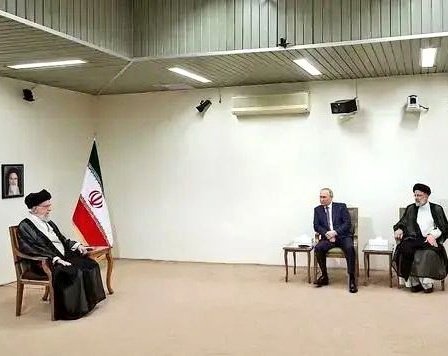 重本冲🐟 tweet media