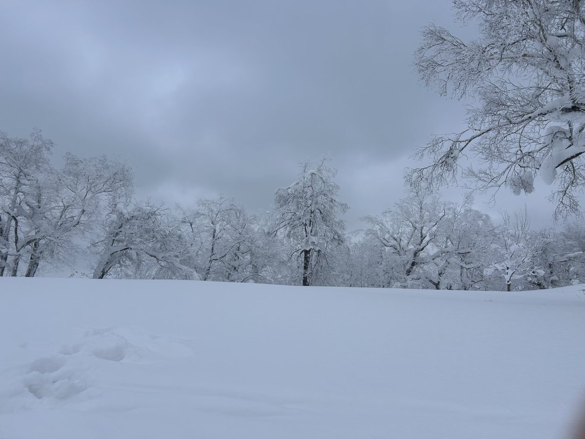 kcuco's tweet photo. 最近行って良かったのは名寄ピヤシリ　降雪がない日なのに上部はパウダーで霧氷がある不思議。ちなみにローカルスキー場としては案外高低差が大きい。そしてリフト券は安く、また地元の若い人めちゃめちゃ上手い。 https://t.co/coK81tHSp6