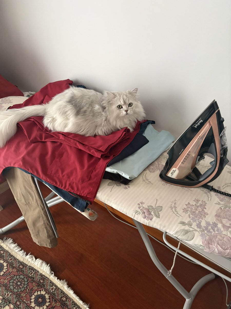 Ahaahah eee bunlar yeni yıkandıydı kıl tüy oldu hemen 🤣🤣🤣 naapacaz Mars efendi 🤗🤗