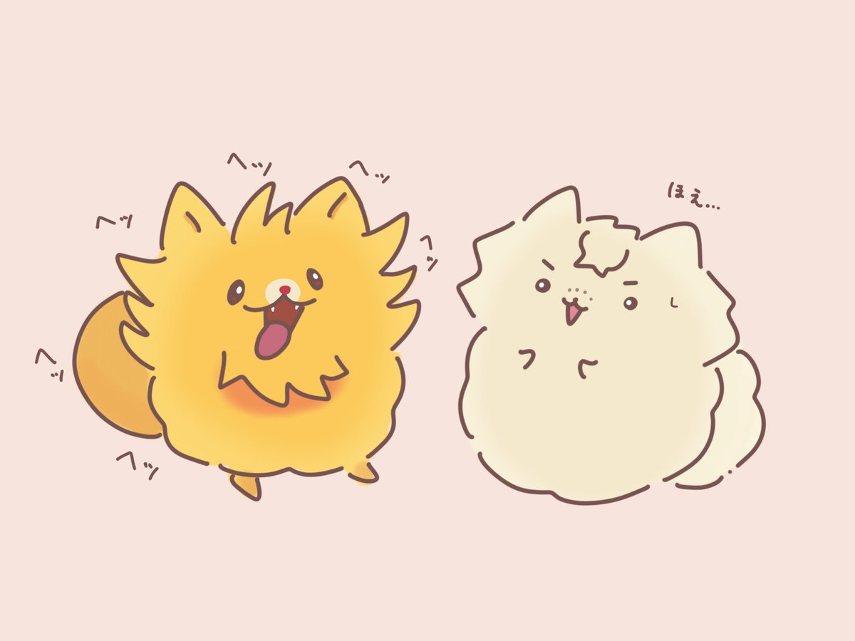 ️※📝ポメ化

遭遇