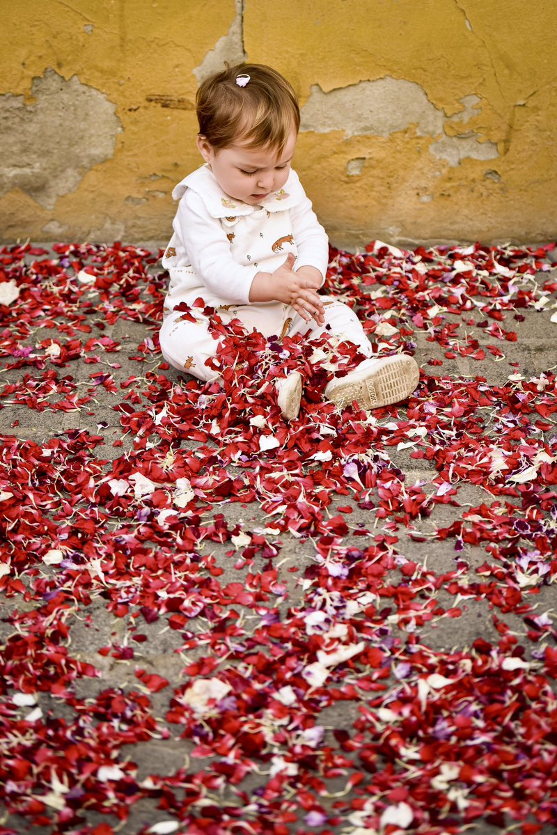 Florece la primavera en la ciudad de Sevilla

<a href="/hdadlaestrella/">La Estrella</a>