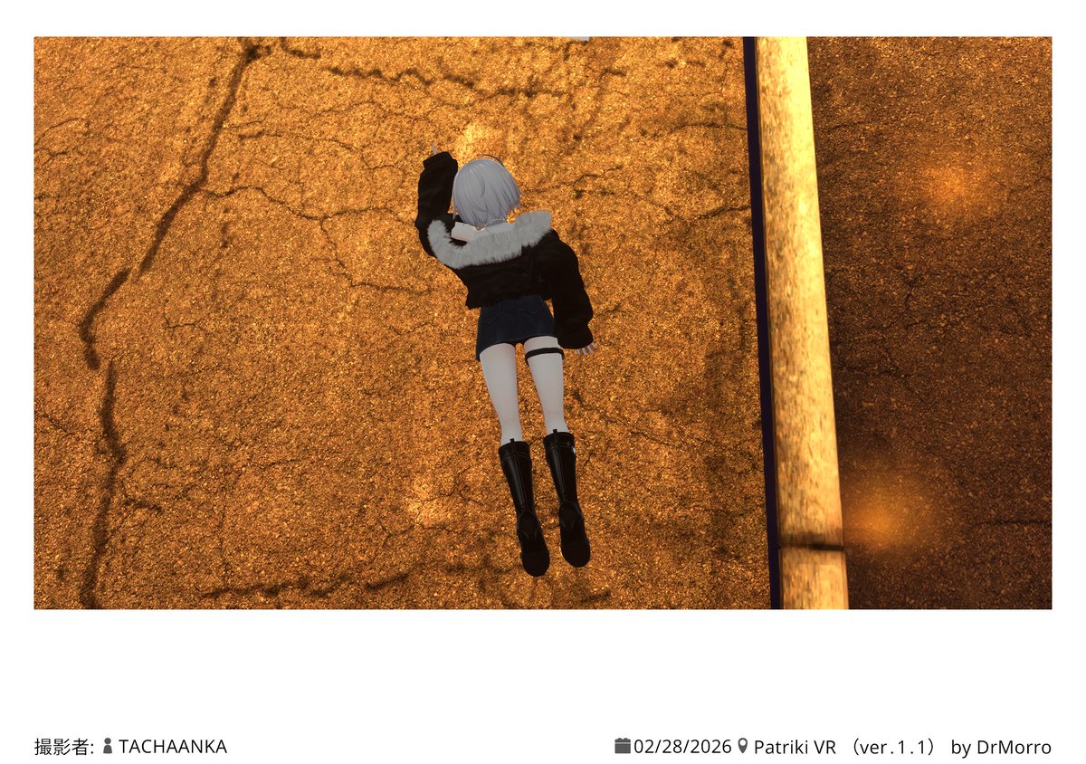 レーヴェLöwe tweet media