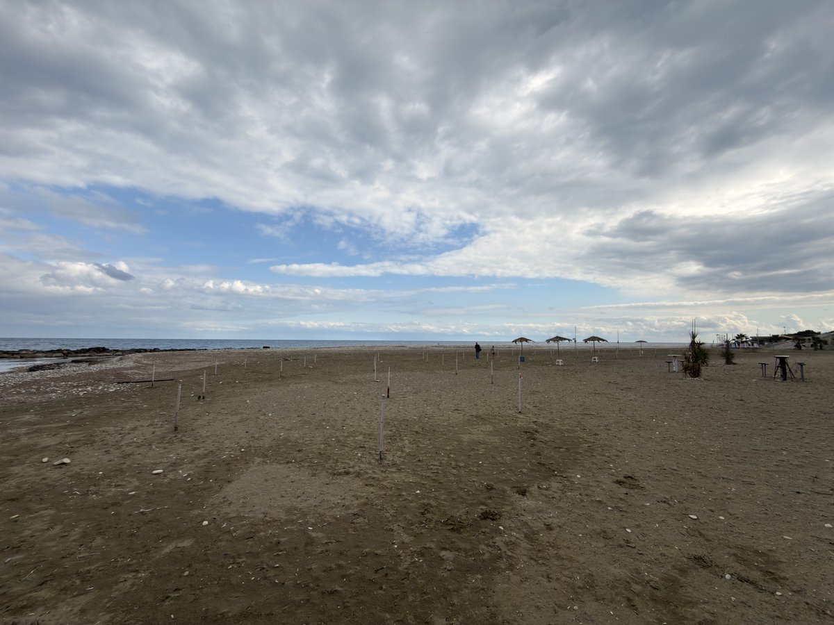 Lars █████ tweet media