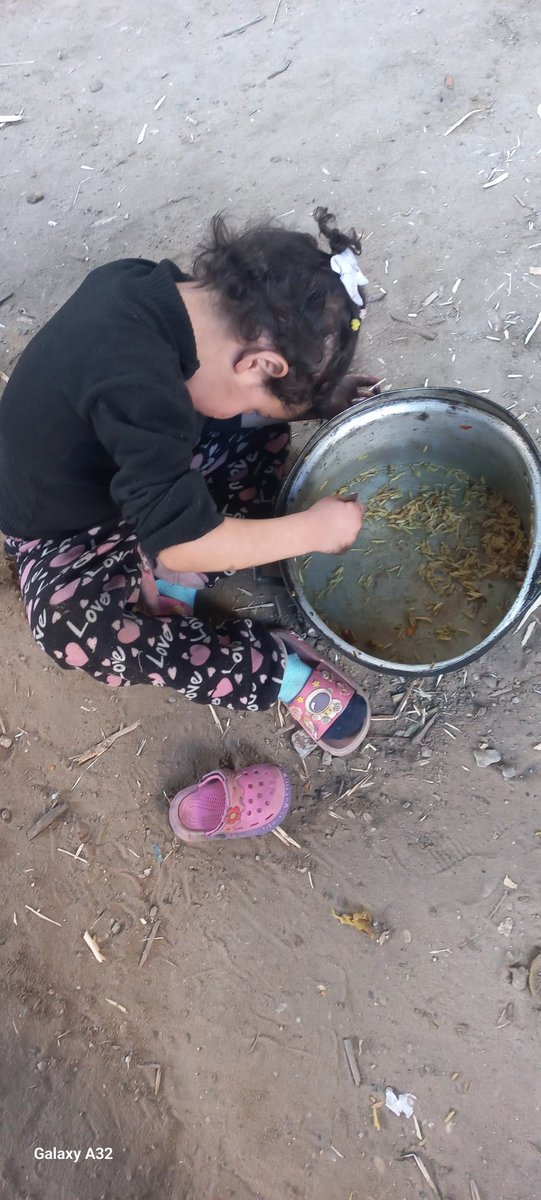 reham 😍🍉 tweet media