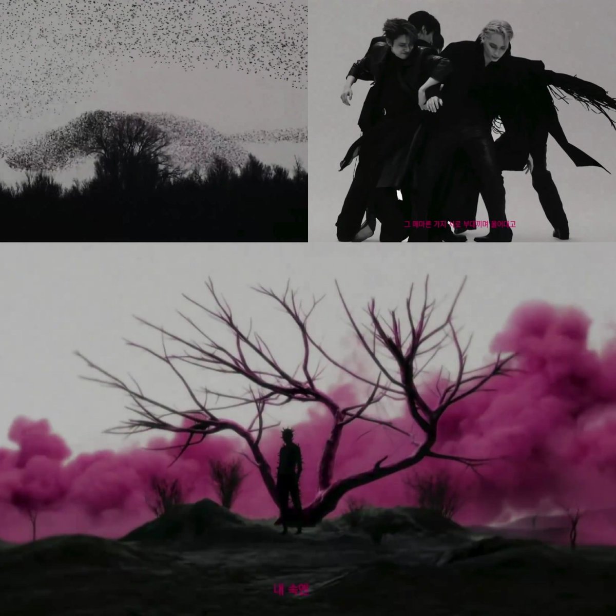 ๋ฌผ์ํ๐ tweet media