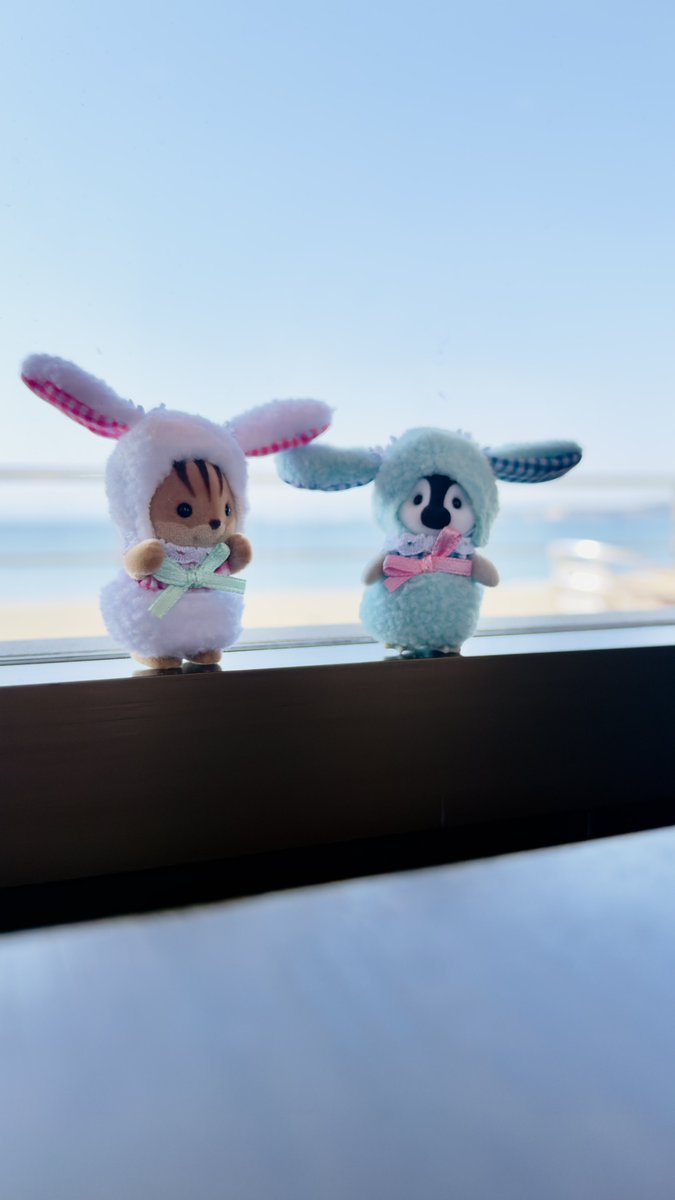 あおちま！ tweet media