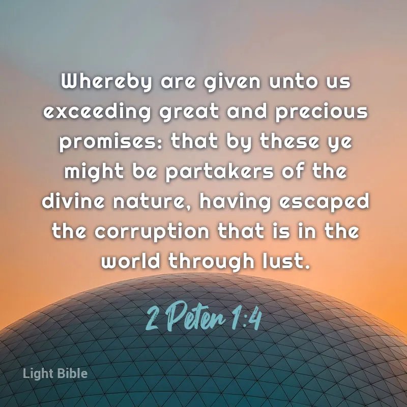 Cody Melton tweet media