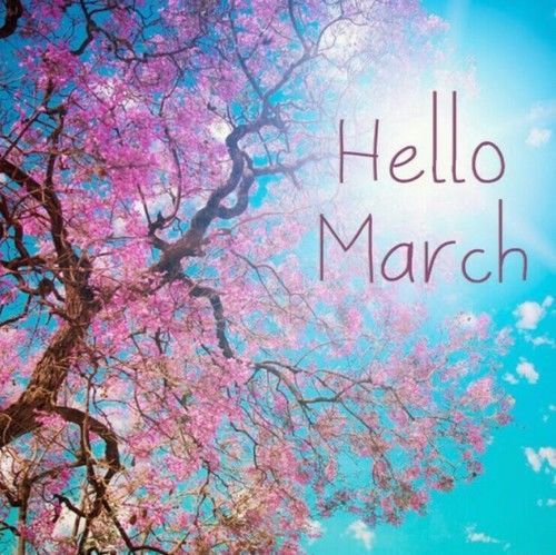 vicsm1980's tweet photo. #hellomarch🌻 https://t.co/4HbuzUbqRu