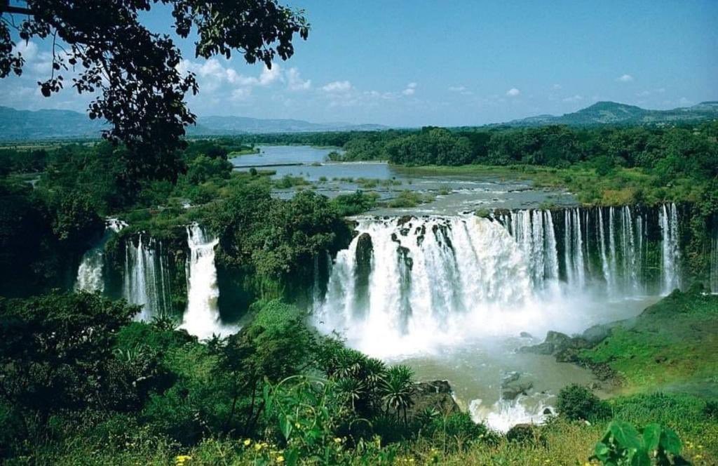 dessalegnmanaye's tweet photo. ዓድዋ ፡ዓባይ ፡ኢትዮጵያ
#ሎሬትፀጋዬ፡ #ጂጂ
#Ethiopia
#Adowa
#Abaye https://t.co/2MSiPJdUF8